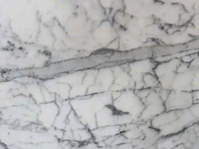 Close-up of a natural stone surface with intricate gray veins on a white background.