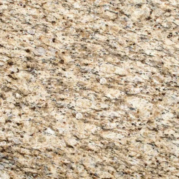 Giallo Ornamental - Image 2
