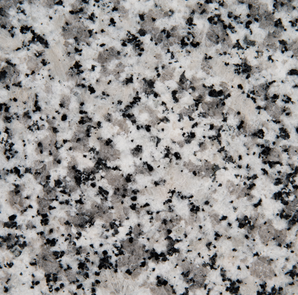 Luna Pearl - Image 2